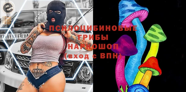 молекула духа Бугульма