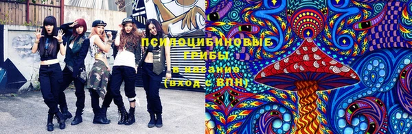 бутират Богданович