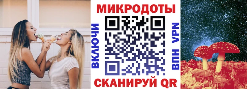 купить закладку Кирсанов Галлюциногенные грибы Cubensis