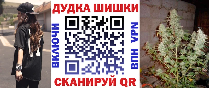 Конопля планчик Кирсанов